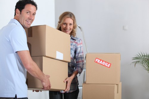 Variety of packing box types including wardrobe and archive boxes